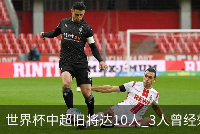 世界杯中超旧将达10人 3人曾经效力国安海港两将